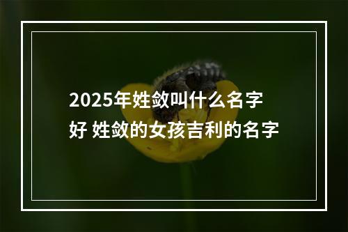 2025年姓敛叫什么名字好 姓敛的女孩吉利的名字