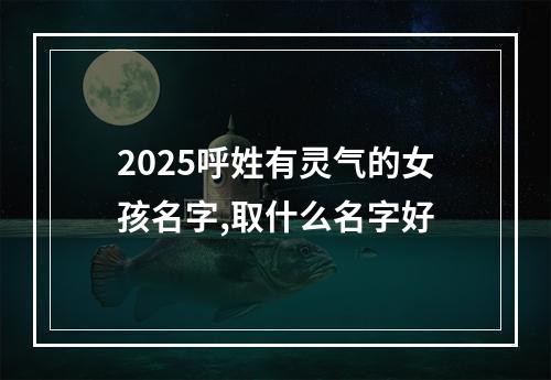 2025呼姓有灵气的女孩名字,取什么名字好