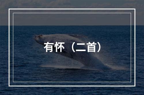 有怀（二首）