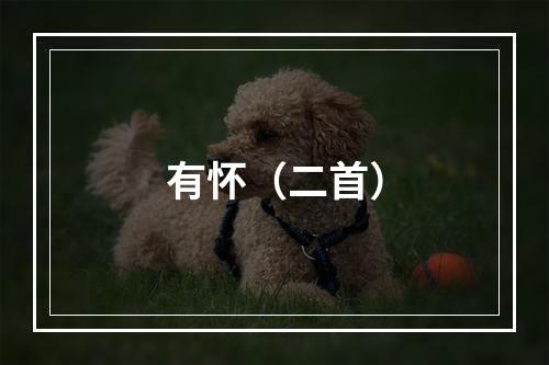 有怀（二首）