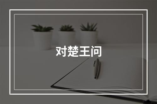 对楚王问