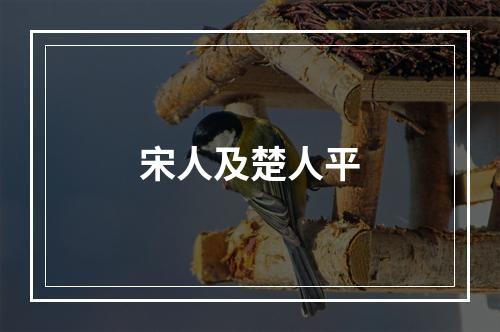 宋人及楚人平