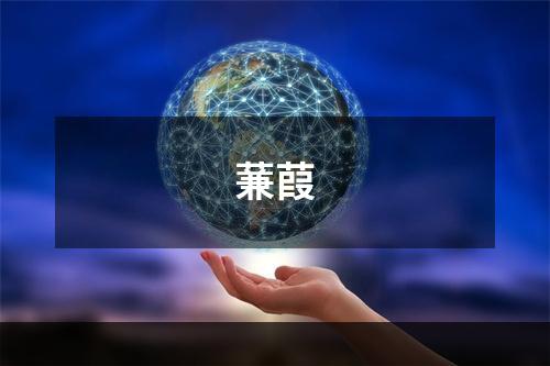 蒹葭