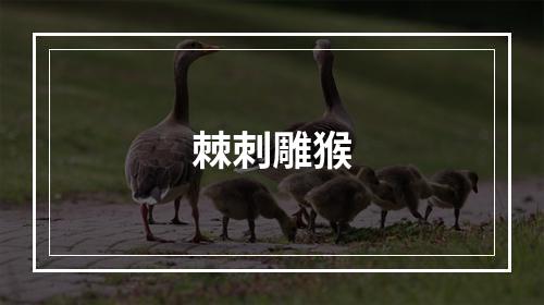棘刺雕猴