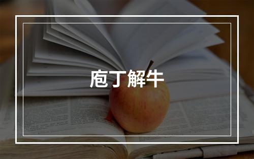 庖丁解牛