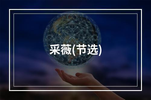 采薇(节选)