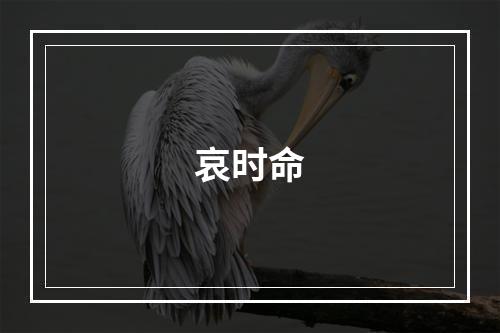 哀时命