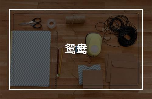鸳鸯