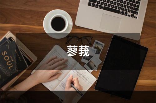 蓼莪