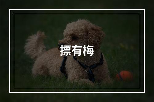 摽有梅