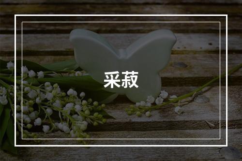 采菽