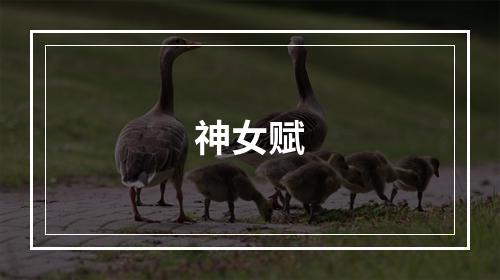 神女赋