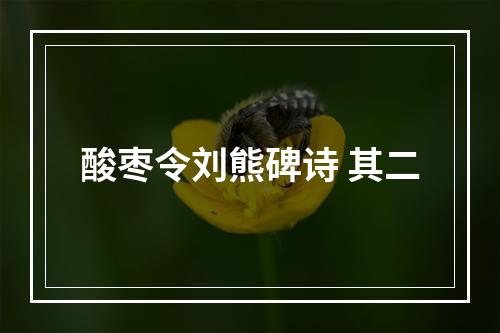酸枣令刘熊碑诗 其二