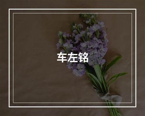 车左铭