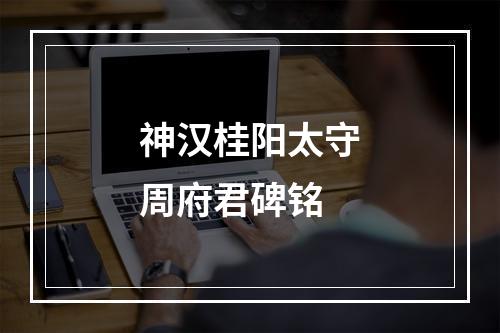 神汉桂阳太守周府君碑铭