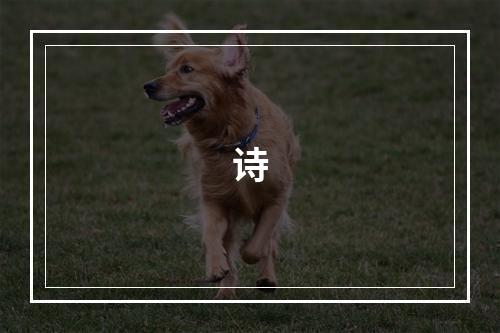 诗