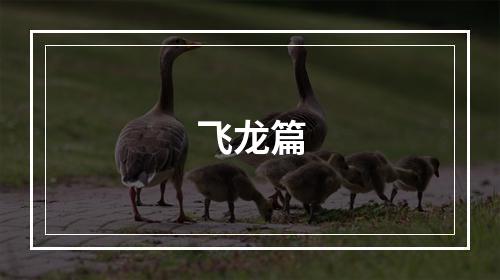 飞龙篇