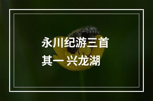 永川纪游三首 其一 兴龙湖