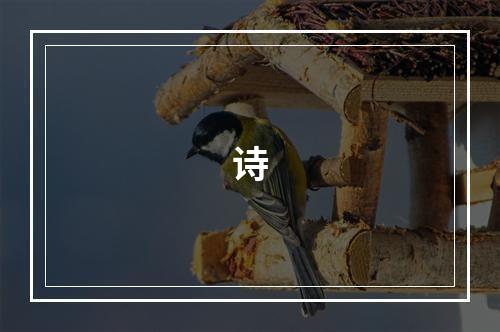 诗