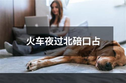 火车夜过北碚口占