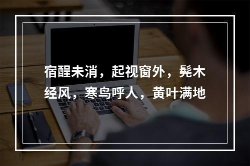 宿酲未消，起视窗外，髡木经风，寒鸟呼人，黄叶满地