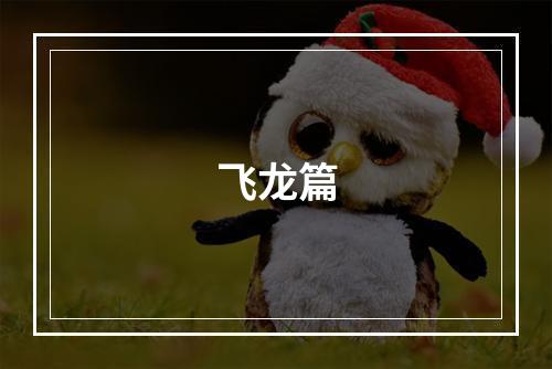 飞龙篇