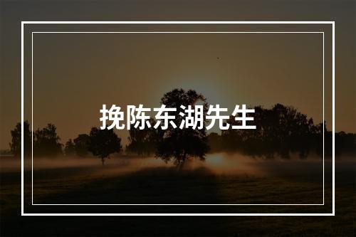 挽陈东湖先生
