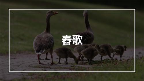 舂歌