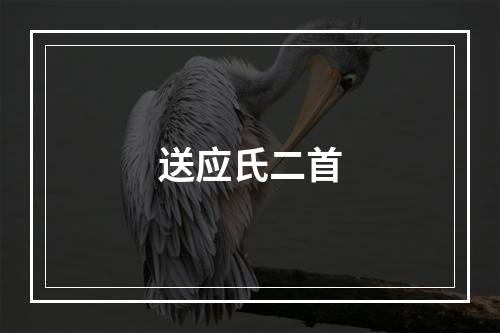 送应氏二首