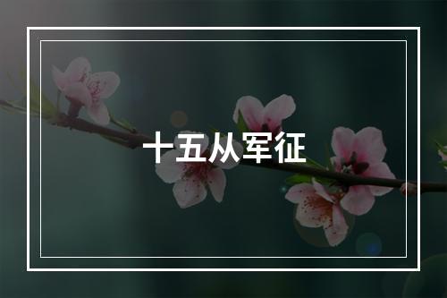 十五从军征