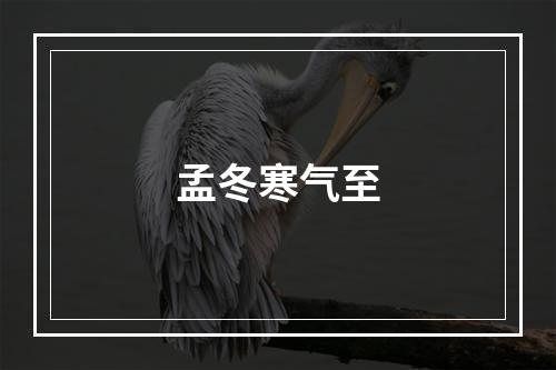 孟冬寒气至