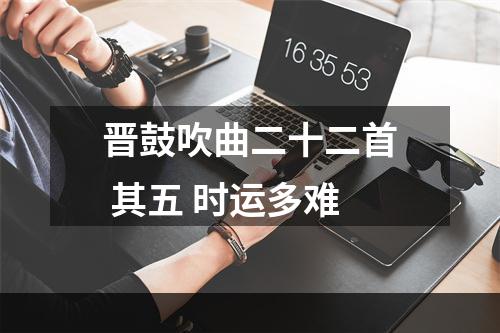 晋鼓吹曲二十二首 其五 时运多难