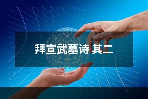 拜宣武墓诗 其二
