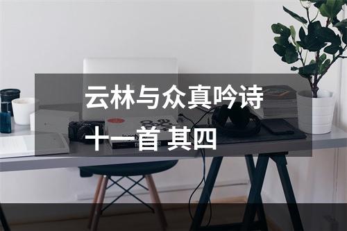 云林与众真吟诗十一首 其四