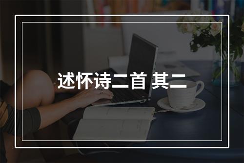 述怀诗二首 其二