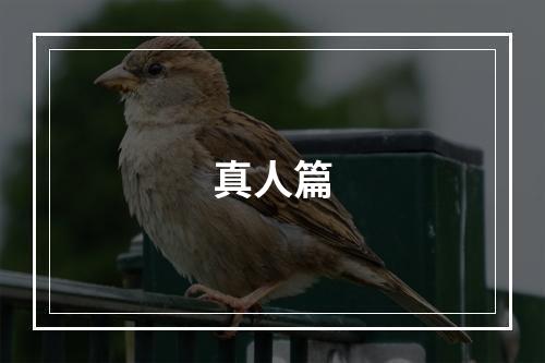 真人篇