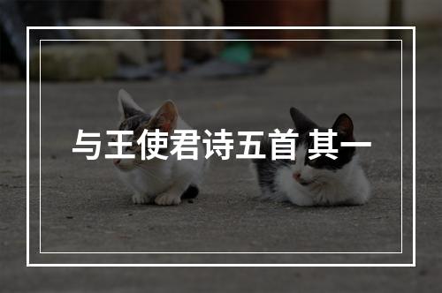 与王使君诗五首 其一