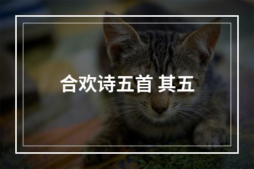 合欢诗五首 其五