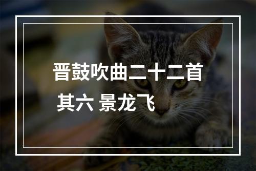晋鼓吹曲二十二首 其六 景龙飞