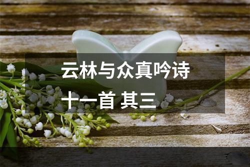 云林与众真吟诗十一首 其三