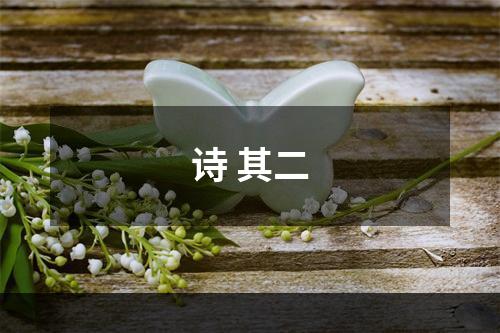 诗 其二