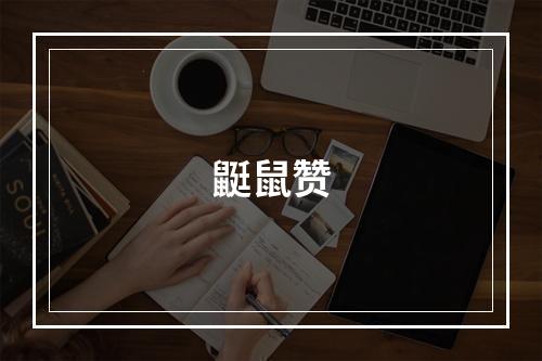 鼮鼠赞