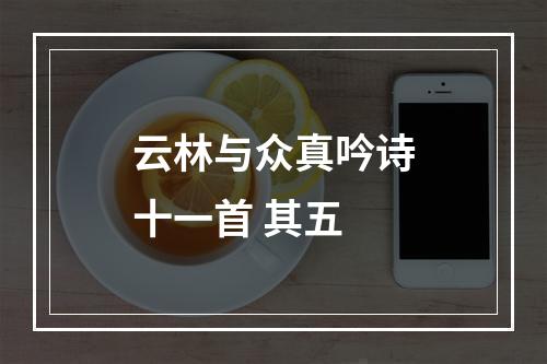 云林与众真吟诗十一首 其五