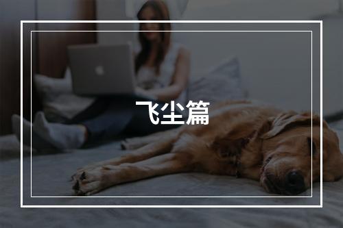 飞尘篇