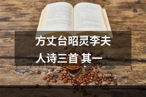 方丈台昭灵李夫人诗三首 其一