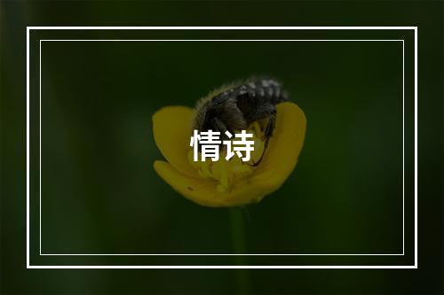 情诗