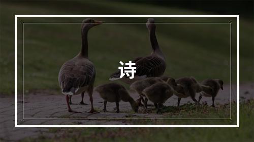 诗