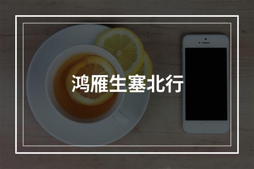 鸿雁生塞北行