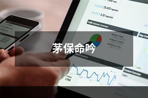 茅保命吟