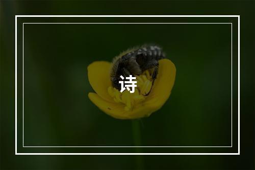 诗